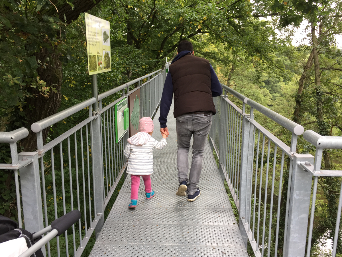 Baumwipfelpfad im Freizeitpark Schloss Beck in Bottrop-Kirchhellen
