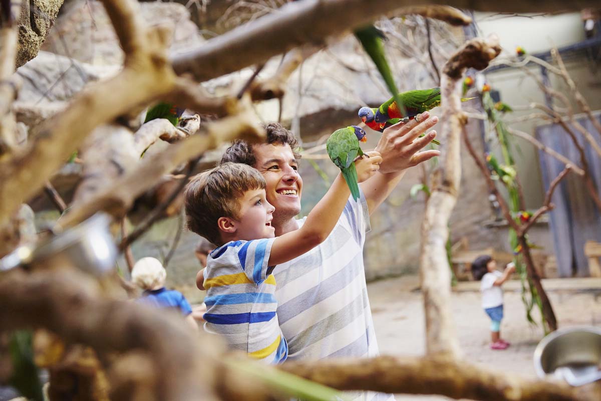 Das Foto zeigt Vater und Sohn zusammen mit einem Papagei im Allwetterzoo Münster