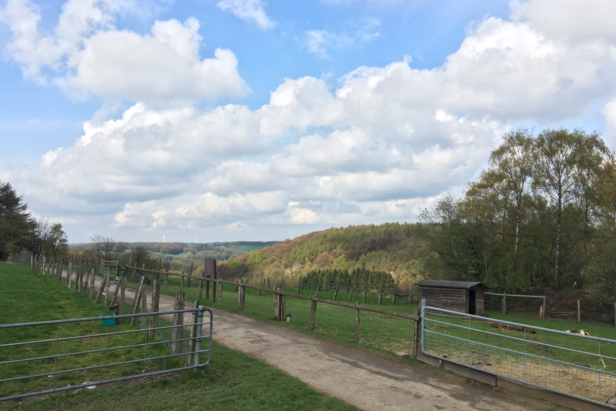 Das Bild zeigt den Ausblick über Hügel und Wiesen im Ruhrgebiet