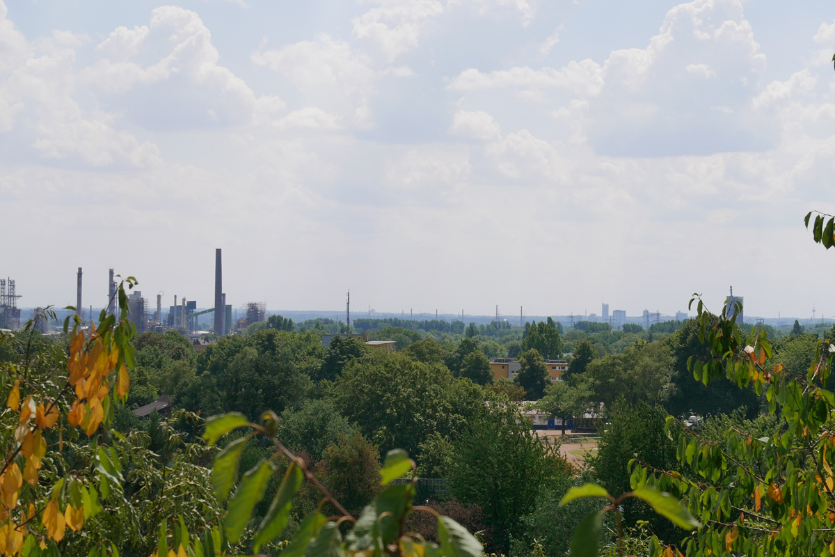 Das Bild zeigt die Aussicht von der Halde Rungenberg.