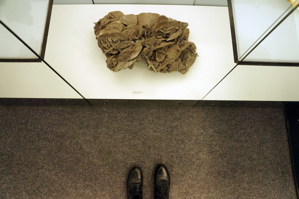 Das Bild zeigt ein Ausstellungsstück im Mineralien Museum in Essen