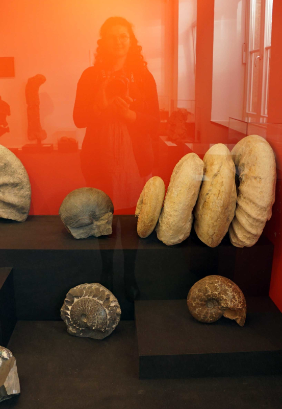 Das Bild zeigt Ausstellungsstücke im Mineralienmuseum in Essen