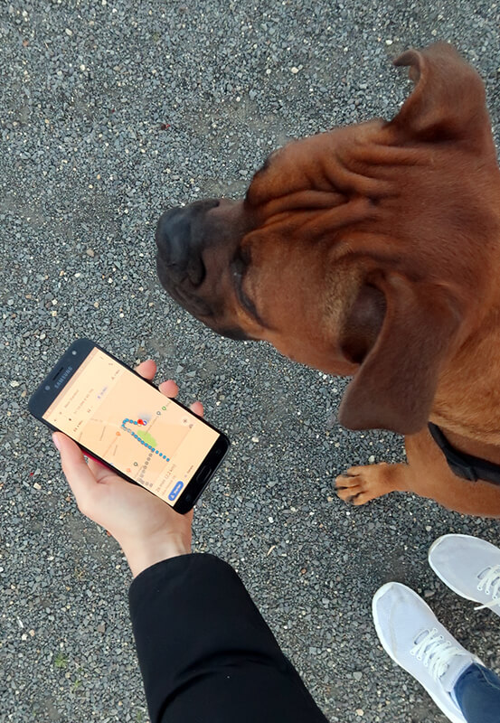 Das Foto zeigt einen Hund beim Geocaching in Dinslaken