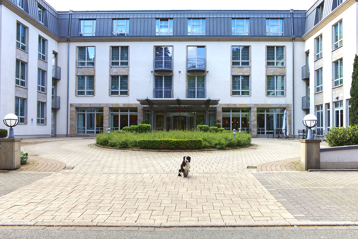 Das Foto zeigt Hund Fino vorm Hotel Courtyard by Marriott am Stadtpark Bochum, das sich bestens für einen Kurzurlaub mit Hund im Ruhrgebiet eignet