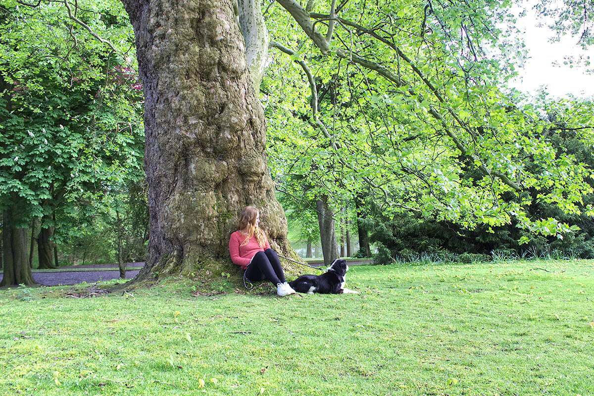 Das Foto zeigt Bloggerin Rebecca mit ihrem Hund Fino im Stadtpark Bochum, der sich bestens als Ausflugsziel für einen Kurzurlaub mit Hund im Ruhrgebiet eignet