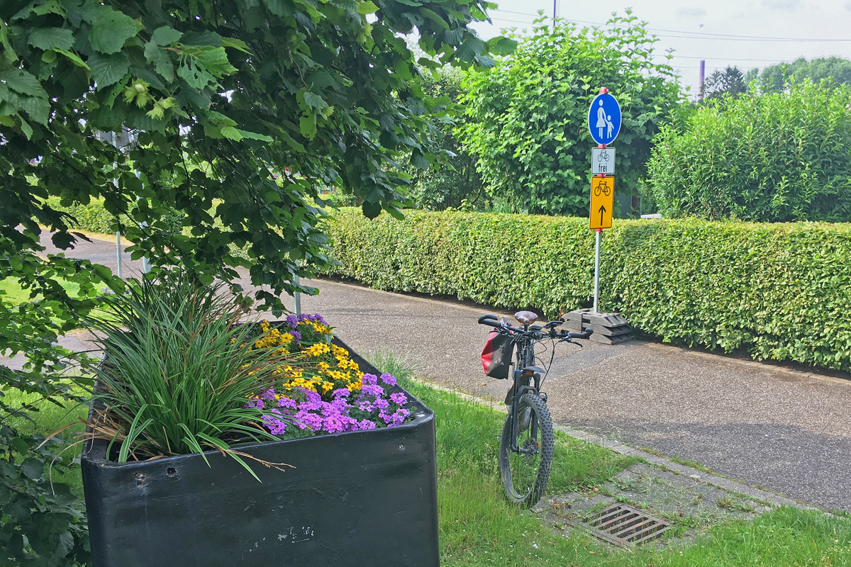 Das Bild zeigt eine Kleingartensiedlung