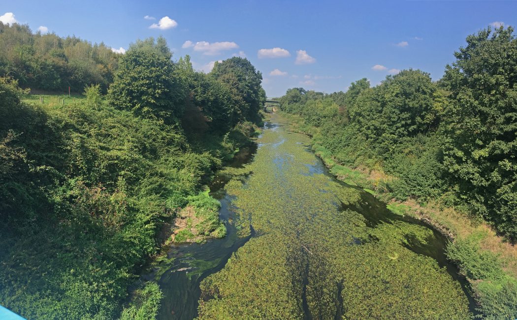 Das Bild zeigt den Ausblick auf die renaturierte Emscher nördlich von Dortmund