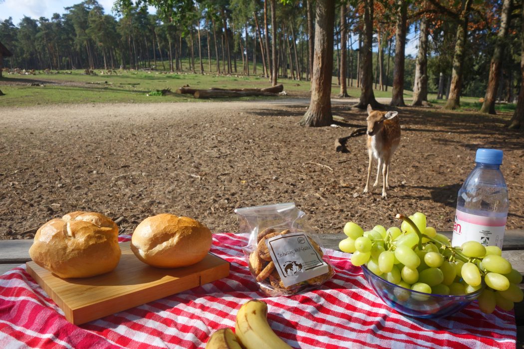Das Bild zeigt ein Picknick im Wildpark Granat