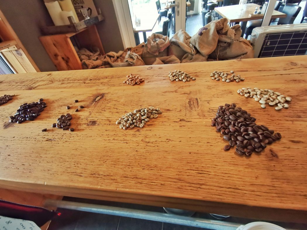 Das Bild zeigt Kaffeebohnen in der Kaffee