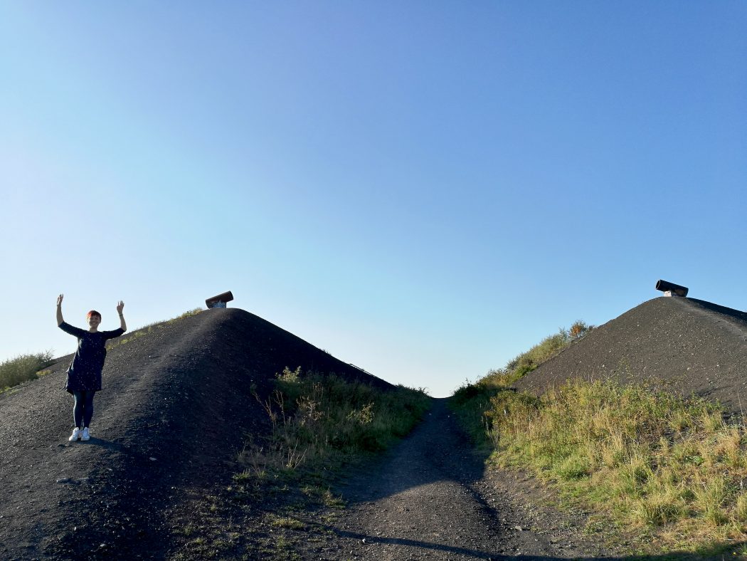 Das Foto zeigt Strahler auf der Halde Rungenberg in Gelsenkirchen