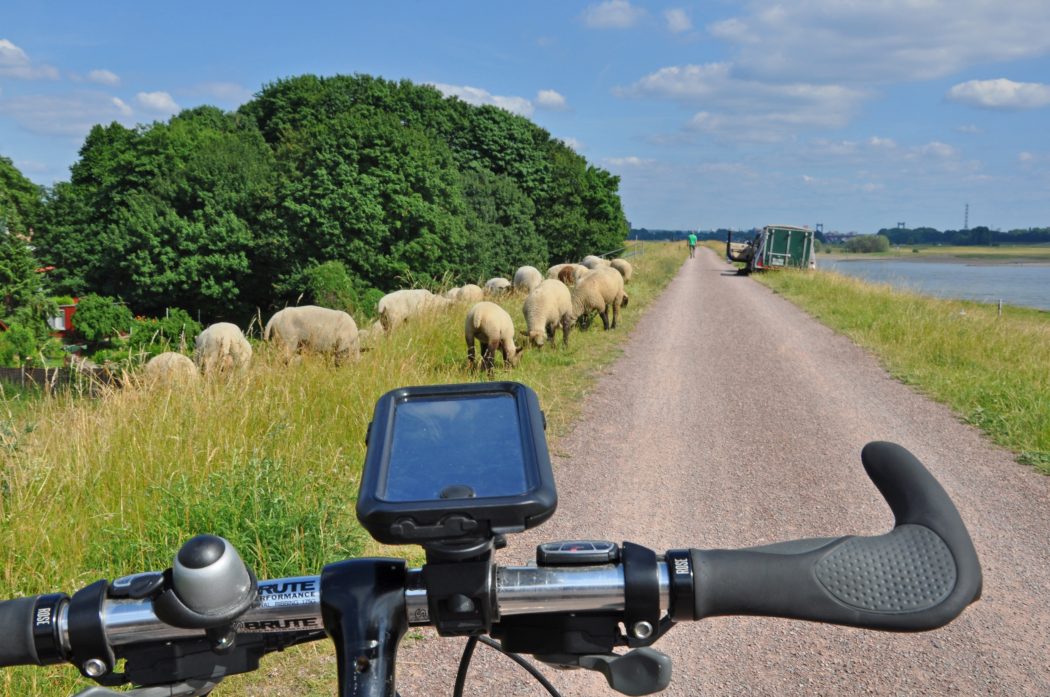 Das Foto zeigt ein Fahrrad samt Navi auf dem Rheindamm in Duisburg