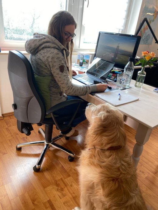 Das Foto zeigt Christin und Hund Amigo bei der Arbeit