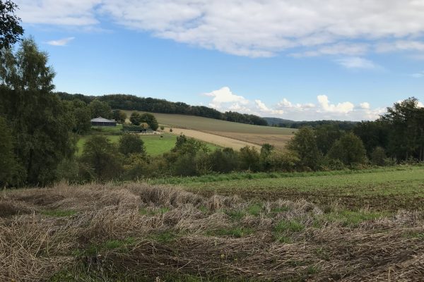 Das Bild zeit eine Landschaft in Essen Kettwig