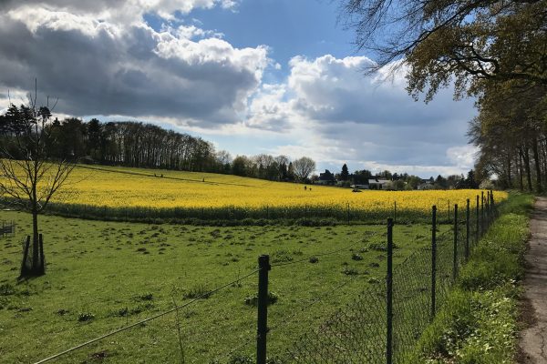 Das Bild zeigt eine Landschaft in Essen Kettwig