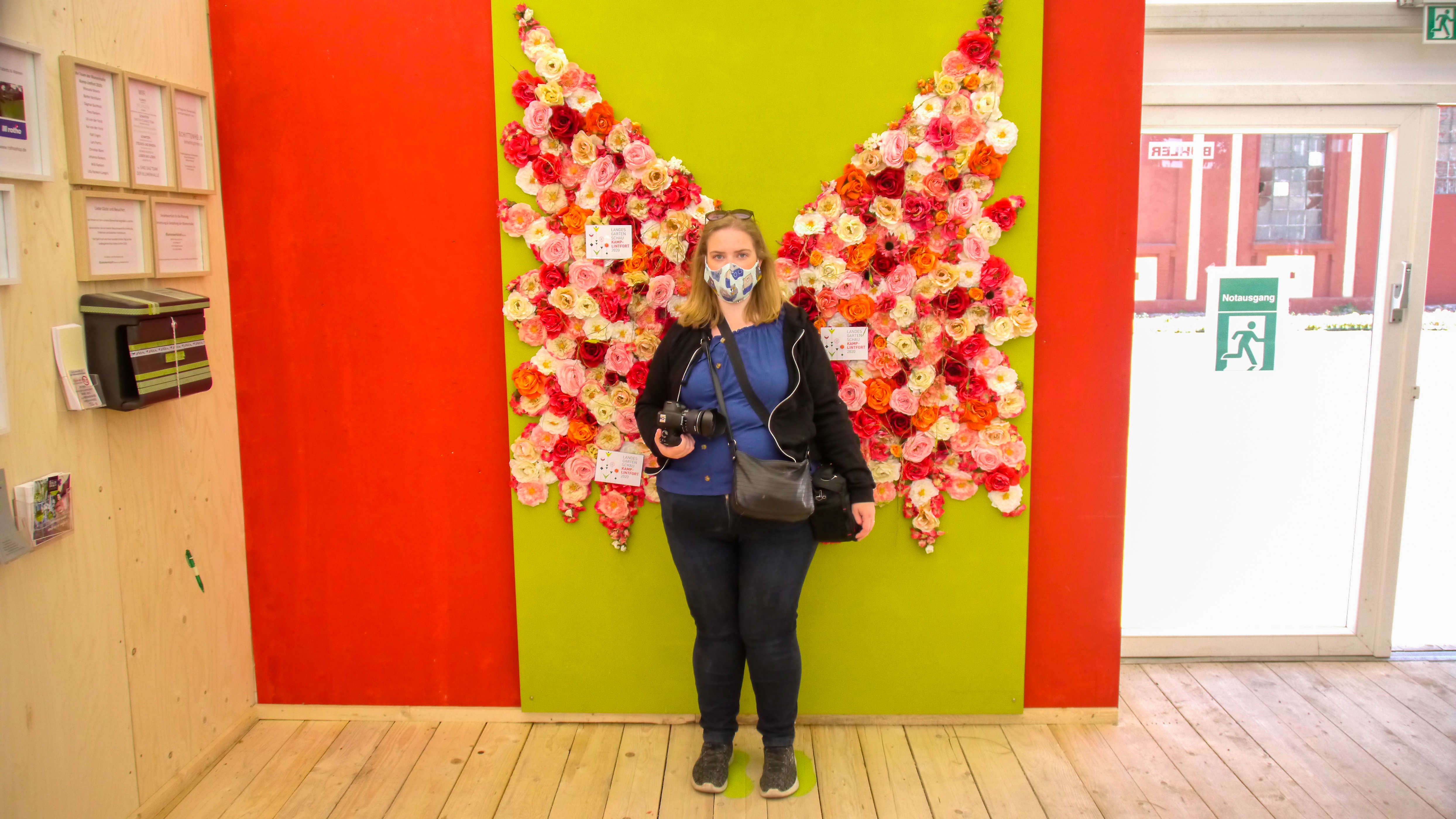Das Bild zeigt einen Schmetterling aus Blumen