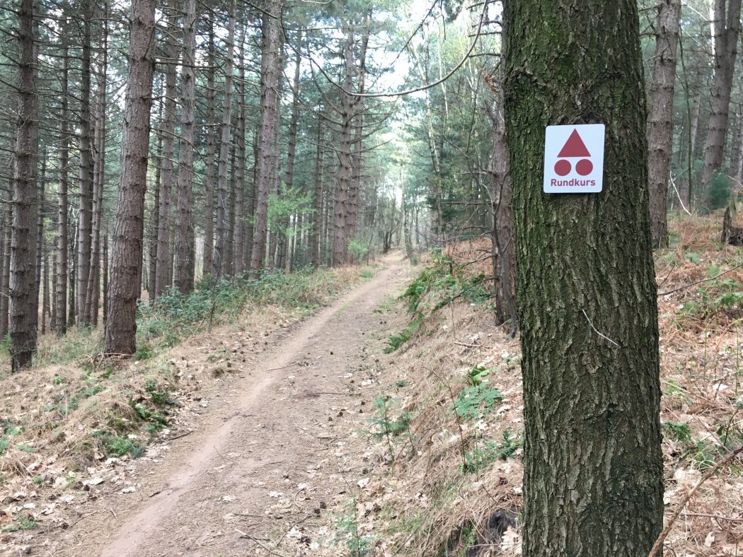 Das Bild zeigt die Mountenbikestrecke in der Haard