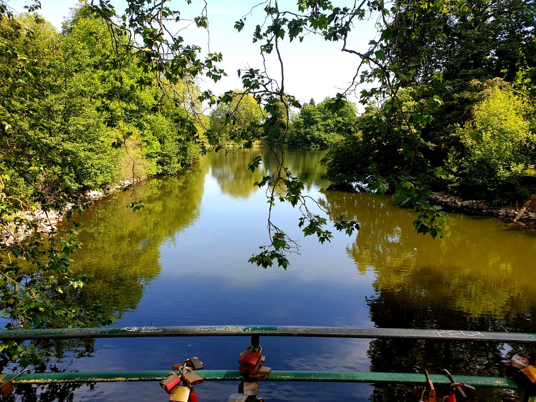 Das Bild zeigt den großen Teich im Rombergpark Dortmund