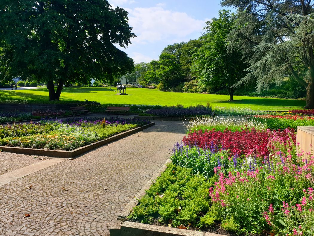 Das Bild zeigt Blumen im Grugapark