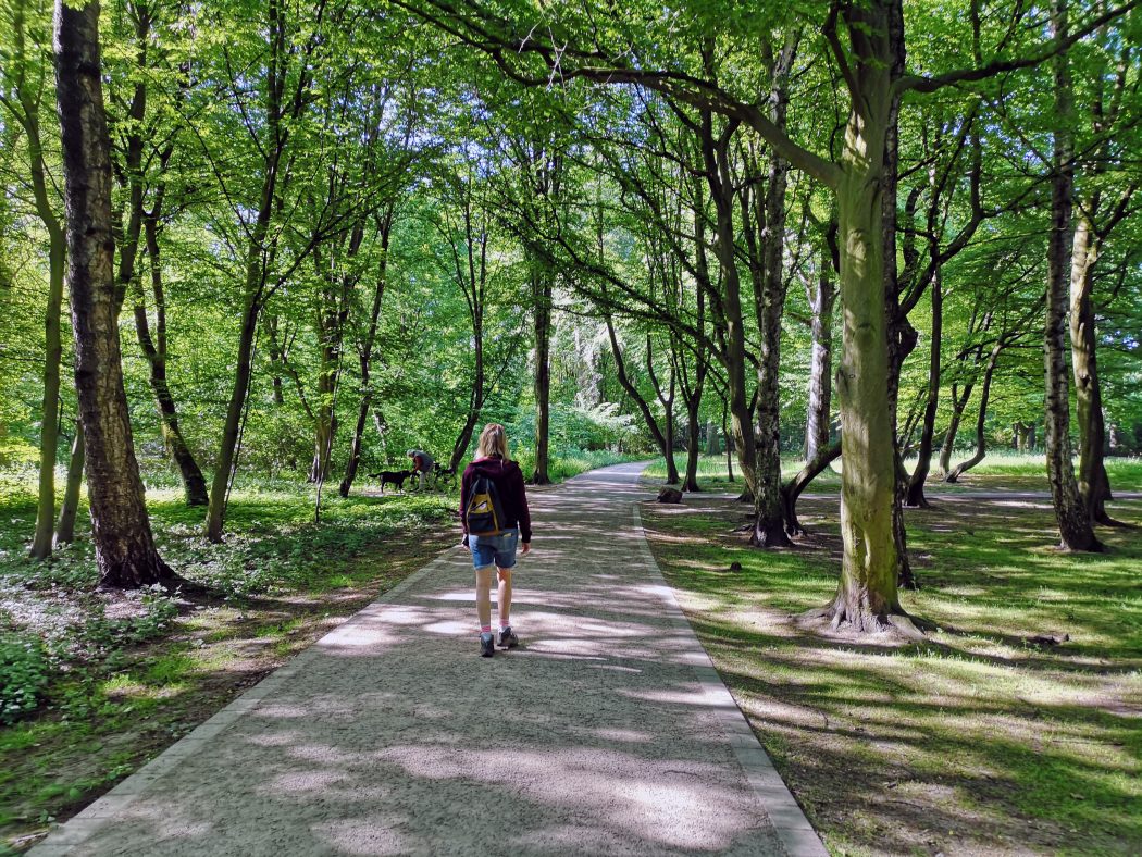 Das Bild zeigt den Herner Stadtgarten