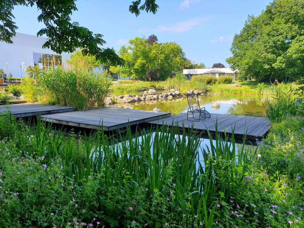 Das Bild zeigt einen kleinen Teich im Grugapark Essen