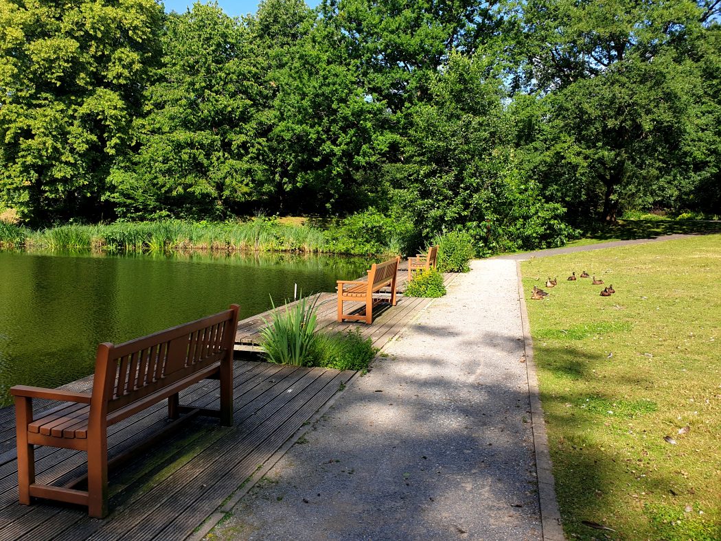 Das Bild zeigt Bänke im Grugapark Essen