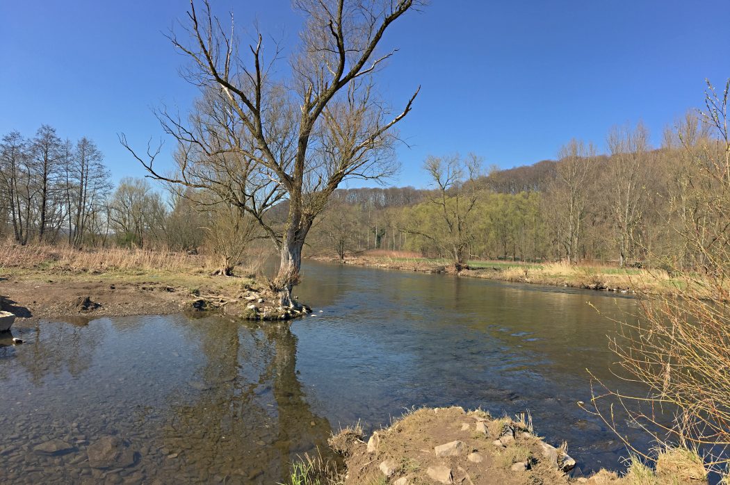 Das Foto zeigt die idyllische Lenne in Hagen