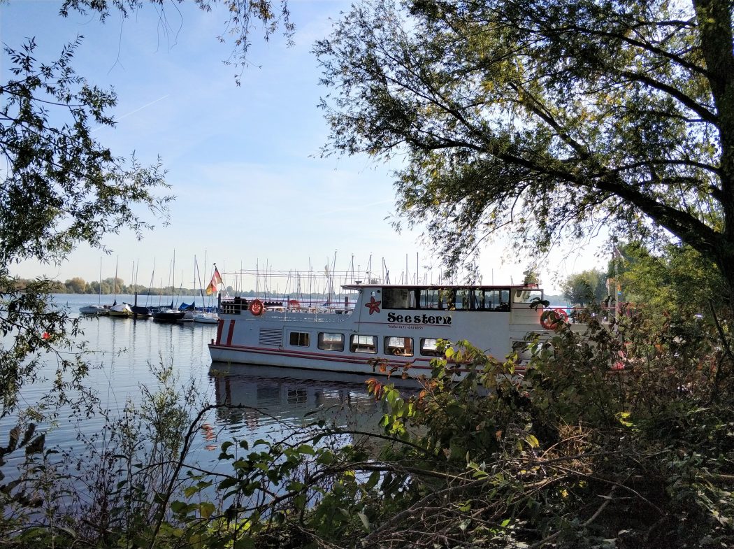 Das Bild zeigt die Seestern Xanten