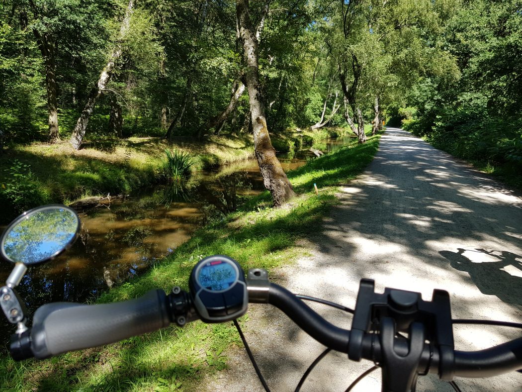 Das Foto zeigt das Rotbachtal in Dinslaken