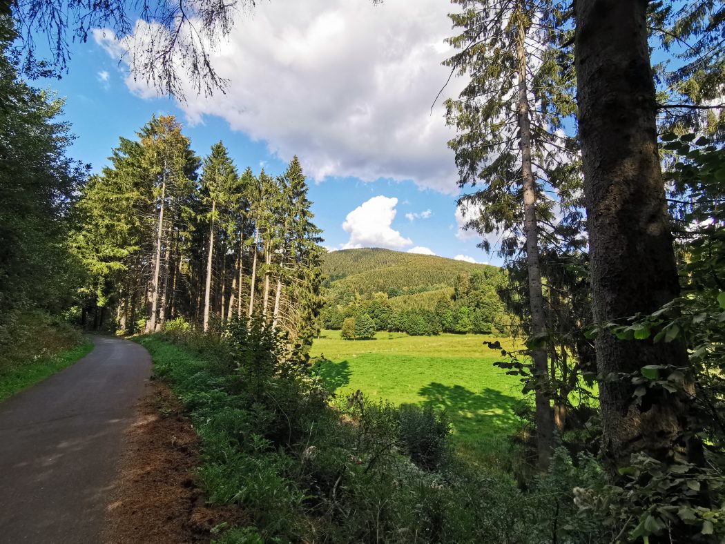 Das Foto zeigt landschaftsidylle am RuhrtalRadweg