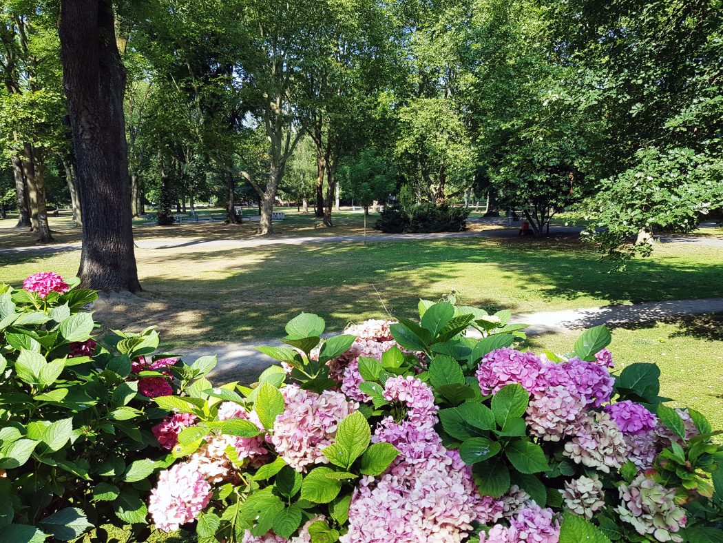 Das Foto zeigt den Westpark in Dortmunder Kreuzviertel