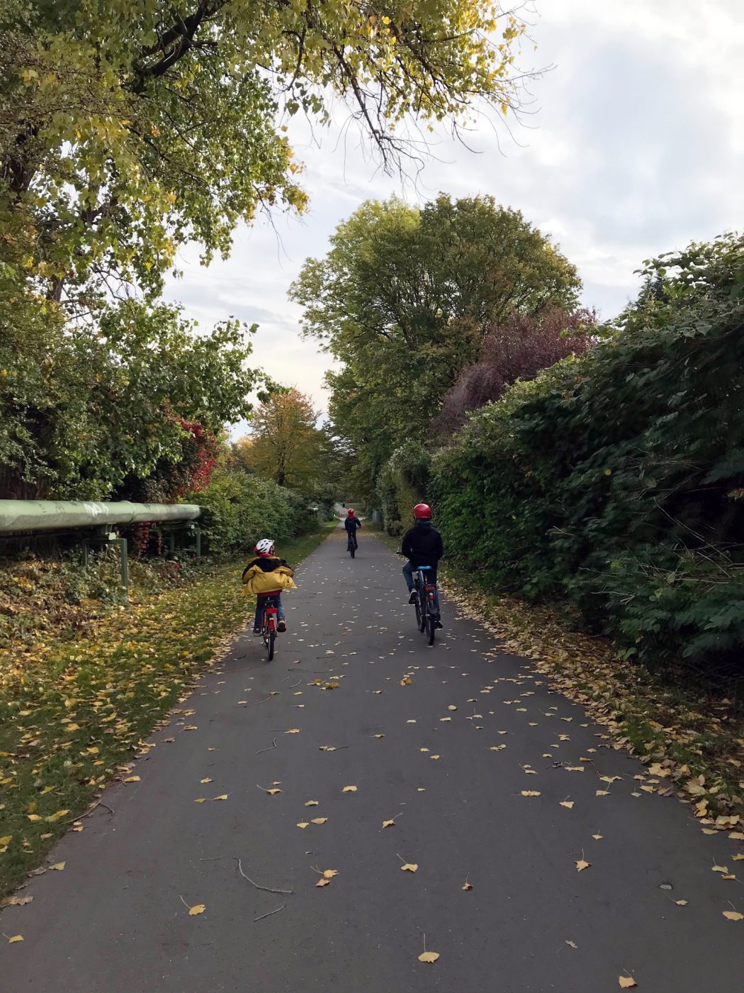 Das Foto zeigt radfahrende Kinder auf dem Nordsternweg