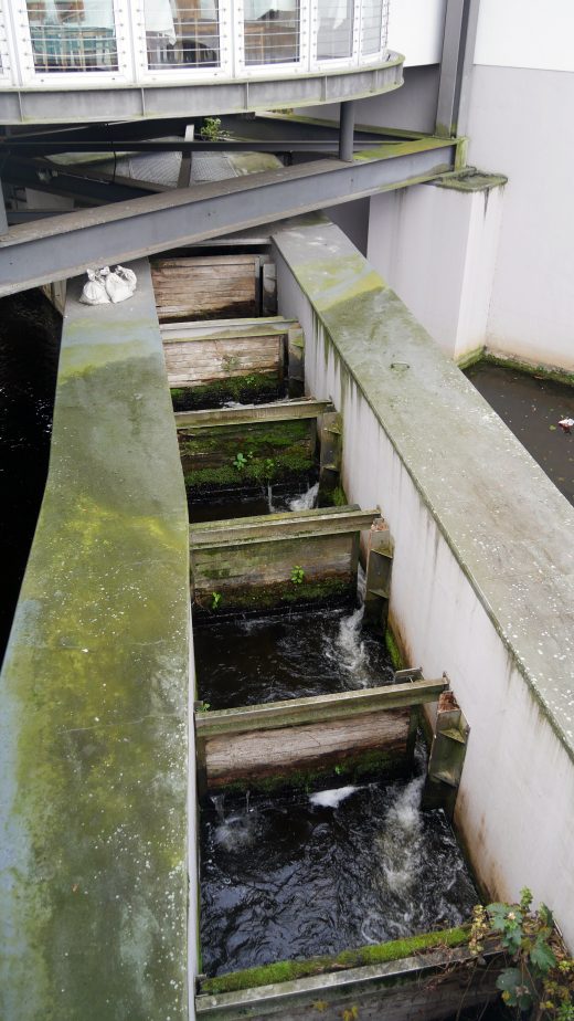 Das Foto zeigt die Fischtreppe in Mülheim an der Ruhr