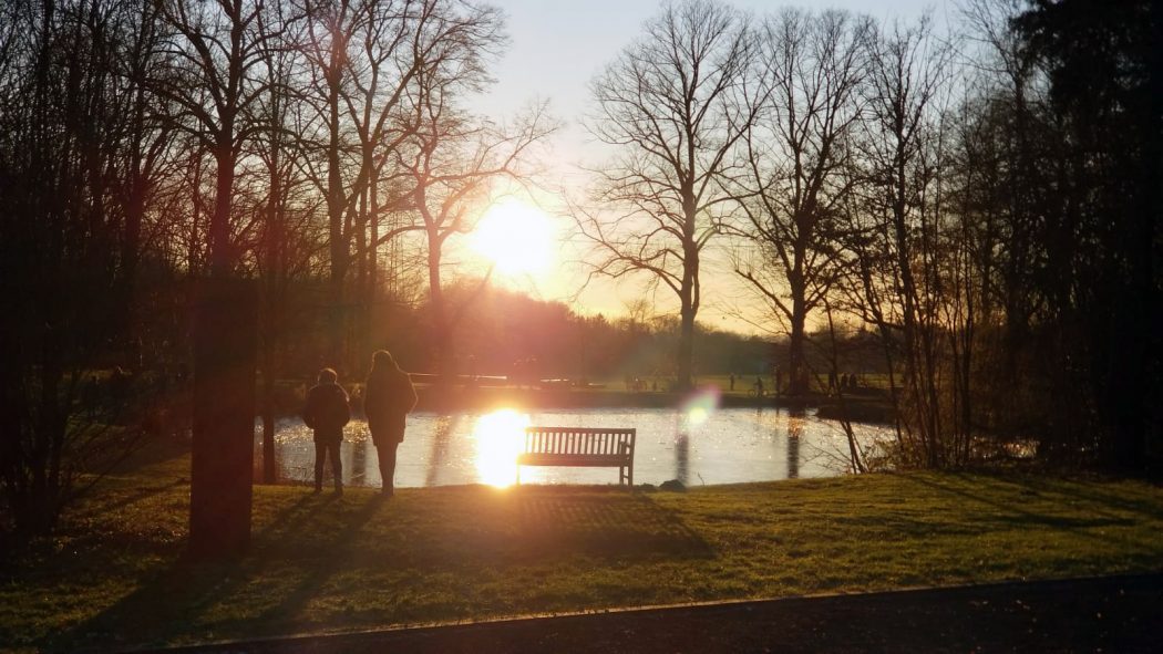 Das Bild zeigt eine Bank an einem See vor tiefstehender Sonne