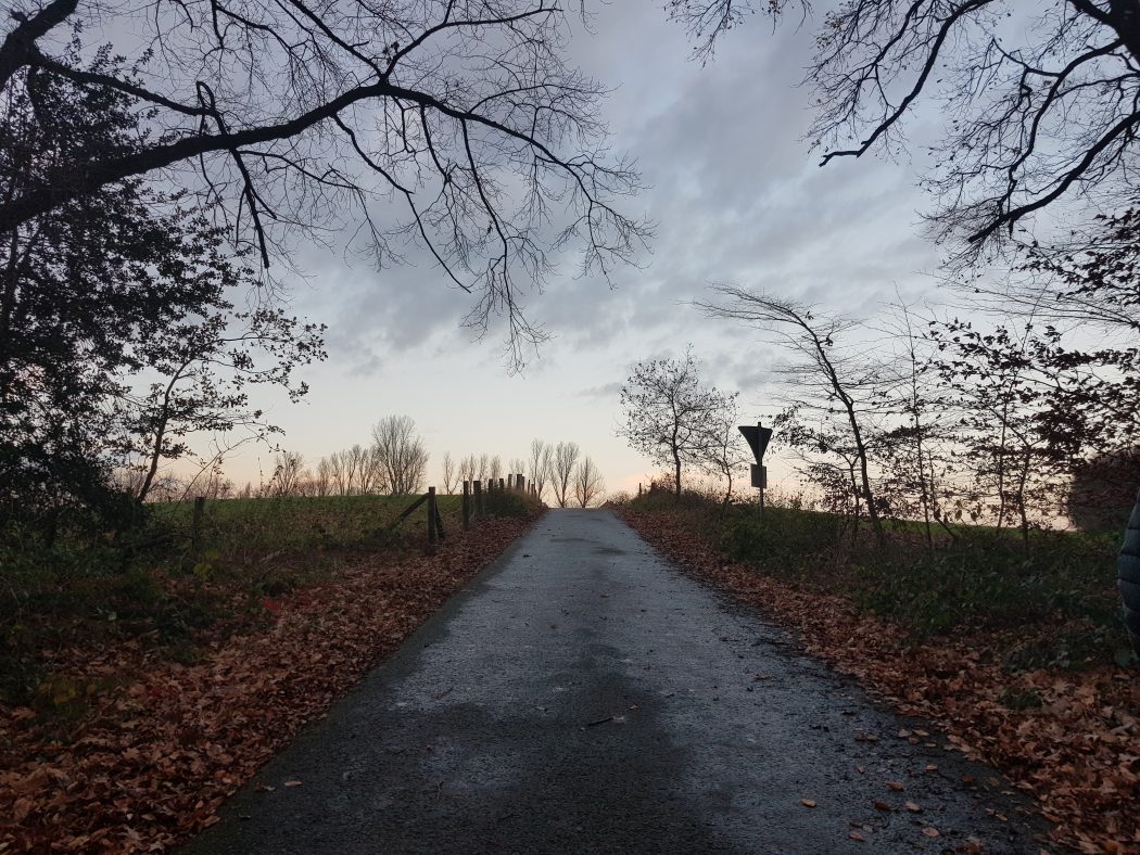 Das Bild zeigt einen Weg in der Dämmerung