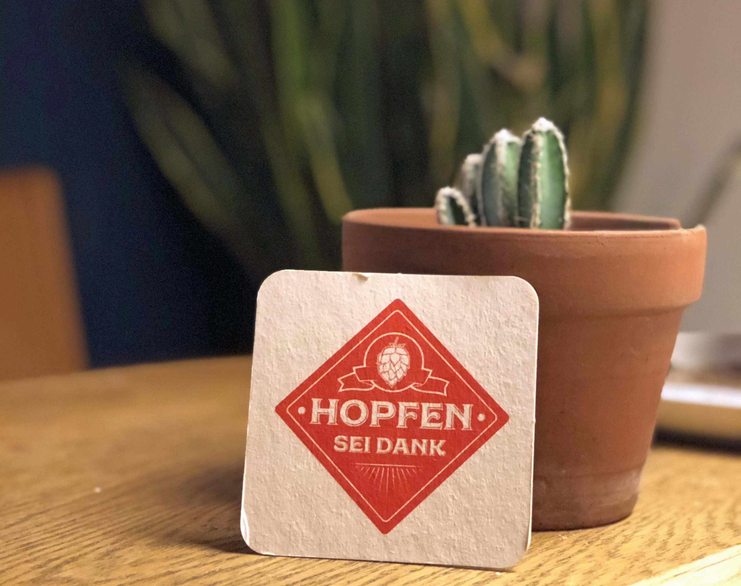 Bierdeckel und Kaktus beim digitalen Biertasting von Hopfen sei Dank
