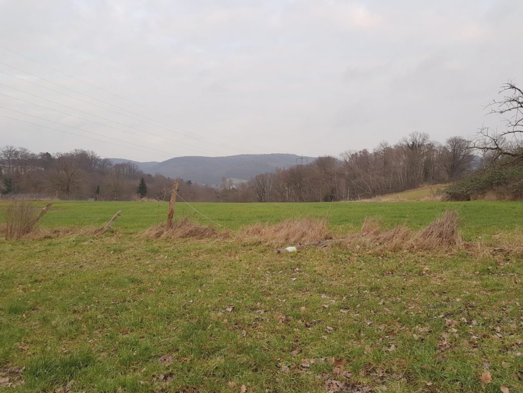 Das Foto zeigt eine grüne Wiese und Winterhimmel in Witten-Bommern