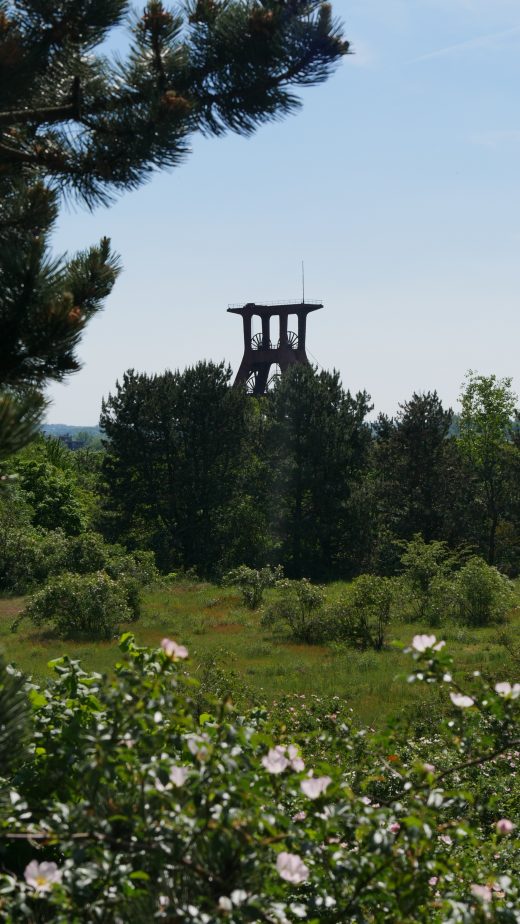 Das Foto zeigt den Ausblick von der Halde Pluto in Herne