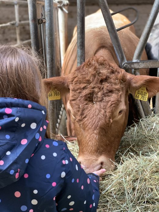 Das Foto zeigt Ninas Tochter zusammen mit einer Kuh auf dem Bauernhof Sagel in Bottrop-Kirchhellen