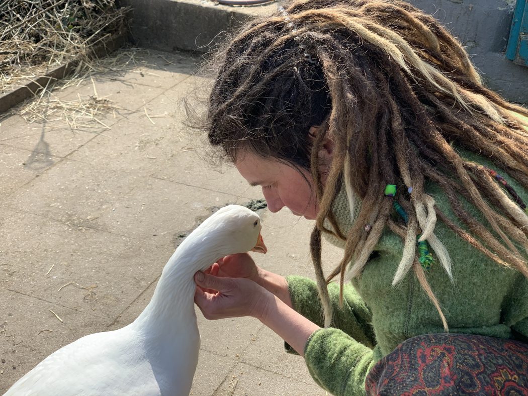 Das Foto zeigt Lexa, die Betreiberin des Begegnungshof in der Espe mitten in der Elfringhauser Schweiz, mit der Gans Eddi