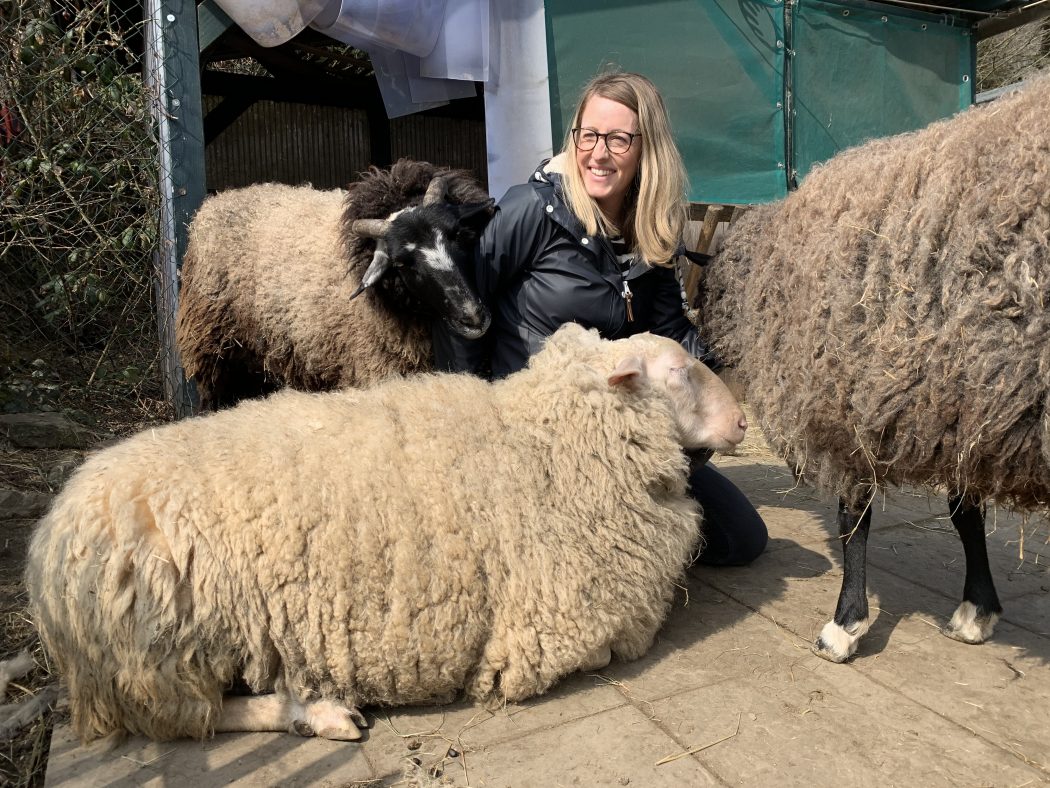 Das Foto zeigt Nina beim Schafe kuscheln auf dem Begegnungshof in der Espe mitten in der Elfringhauser Schweiz