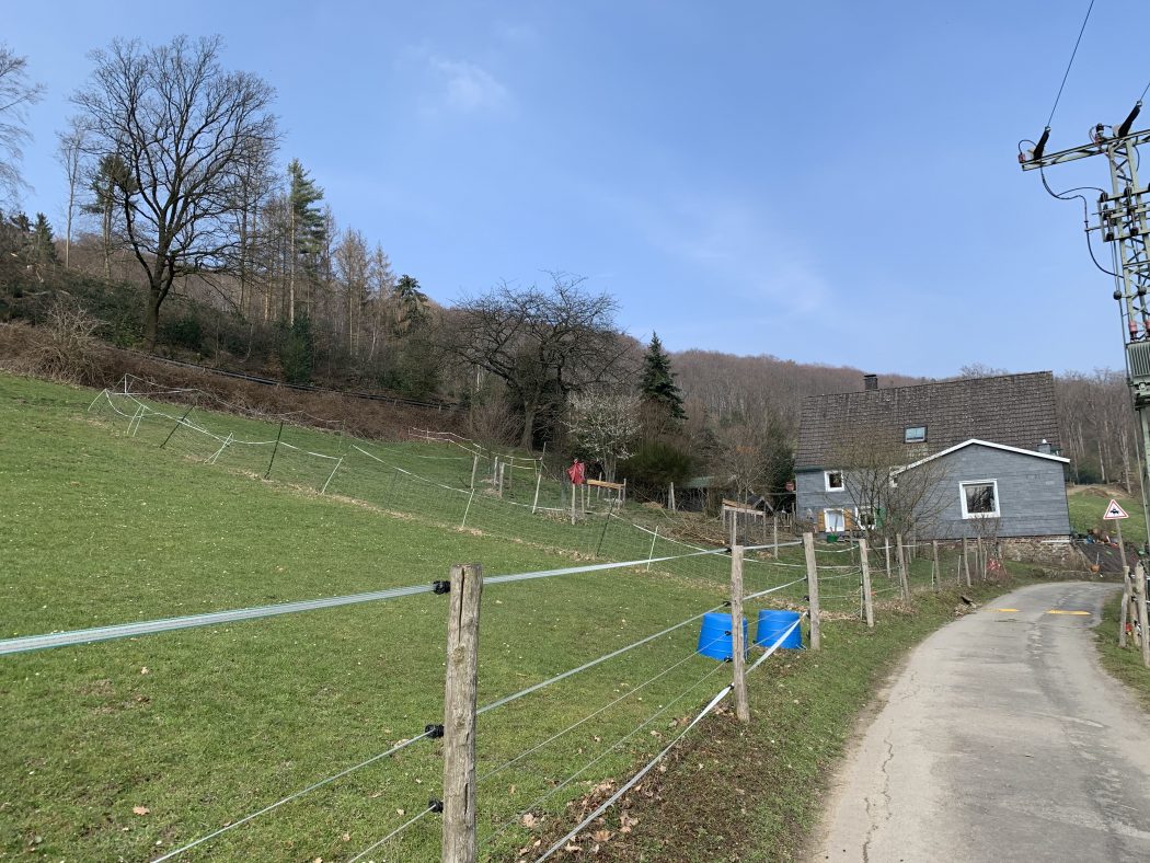 Das Foto zeigt den Weg zum Begegnungshof in der Espe mitten in der Elfringhauser Schweiz