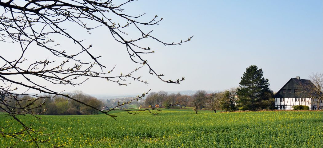 Das Foto zeigt den Blick von der Bushaltestelle "Hardensteiner Weg"