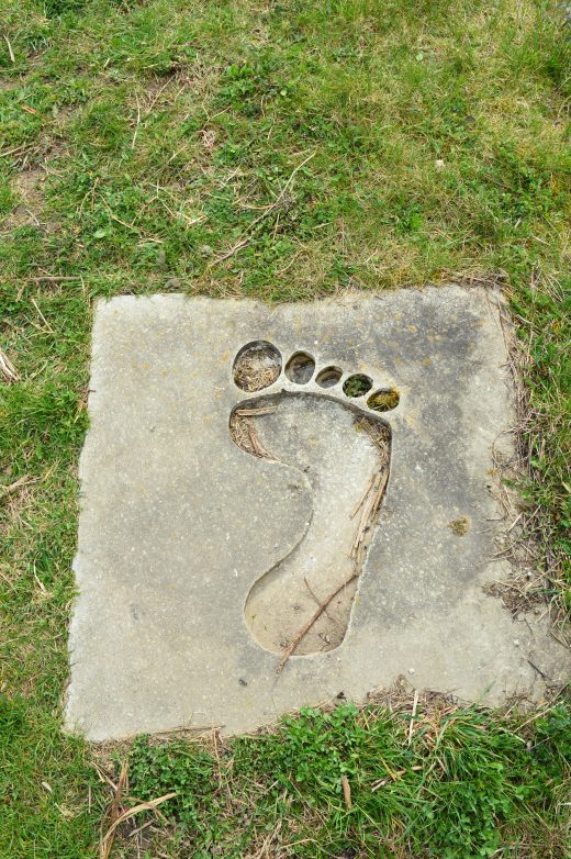 Das Foto zeigt Tippulus' Spuren auf dem Tippelsberg in Bochum