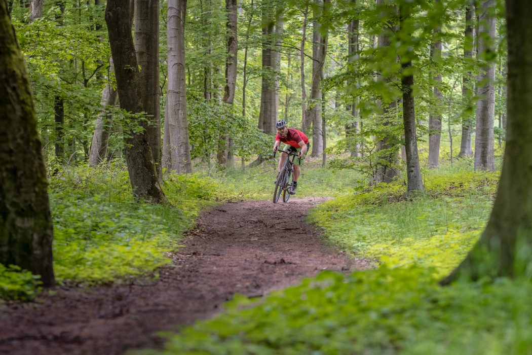 Das Foto zeigt Jochen auf dem Gravelbike im Duisburger Wald