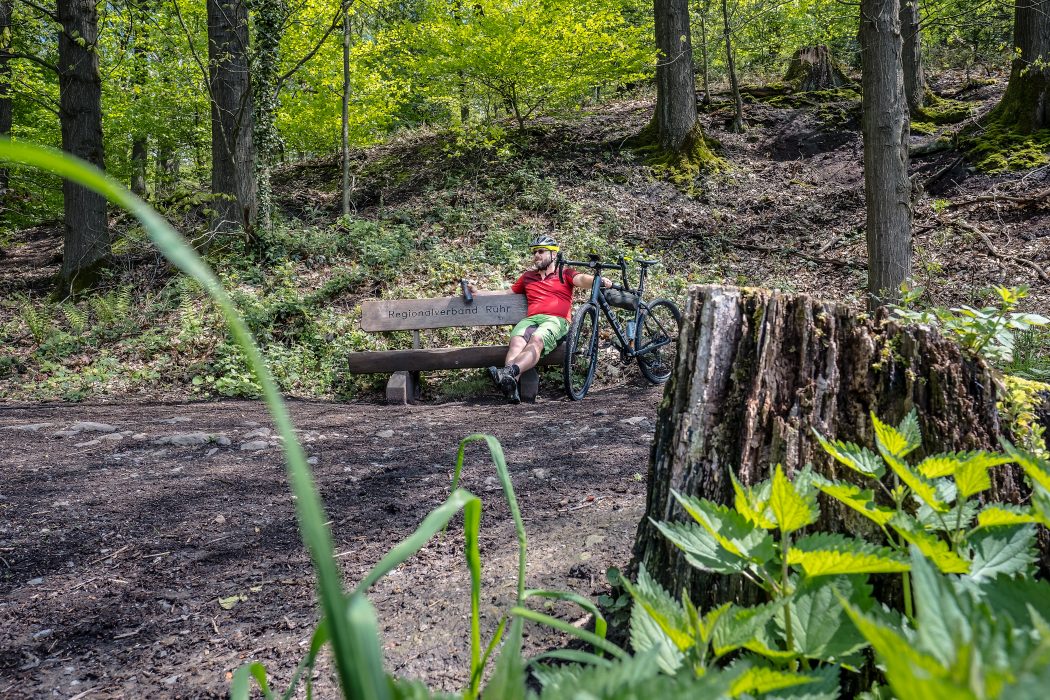 Das Foto zeigt Jochen im Oefter Wald in Essen