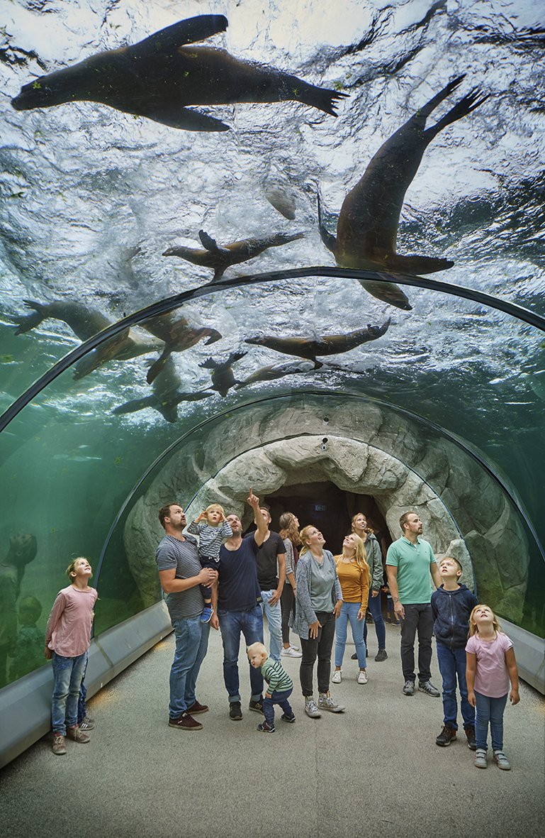 Das Bild zeigt die ZOOM Erlebniswelt
