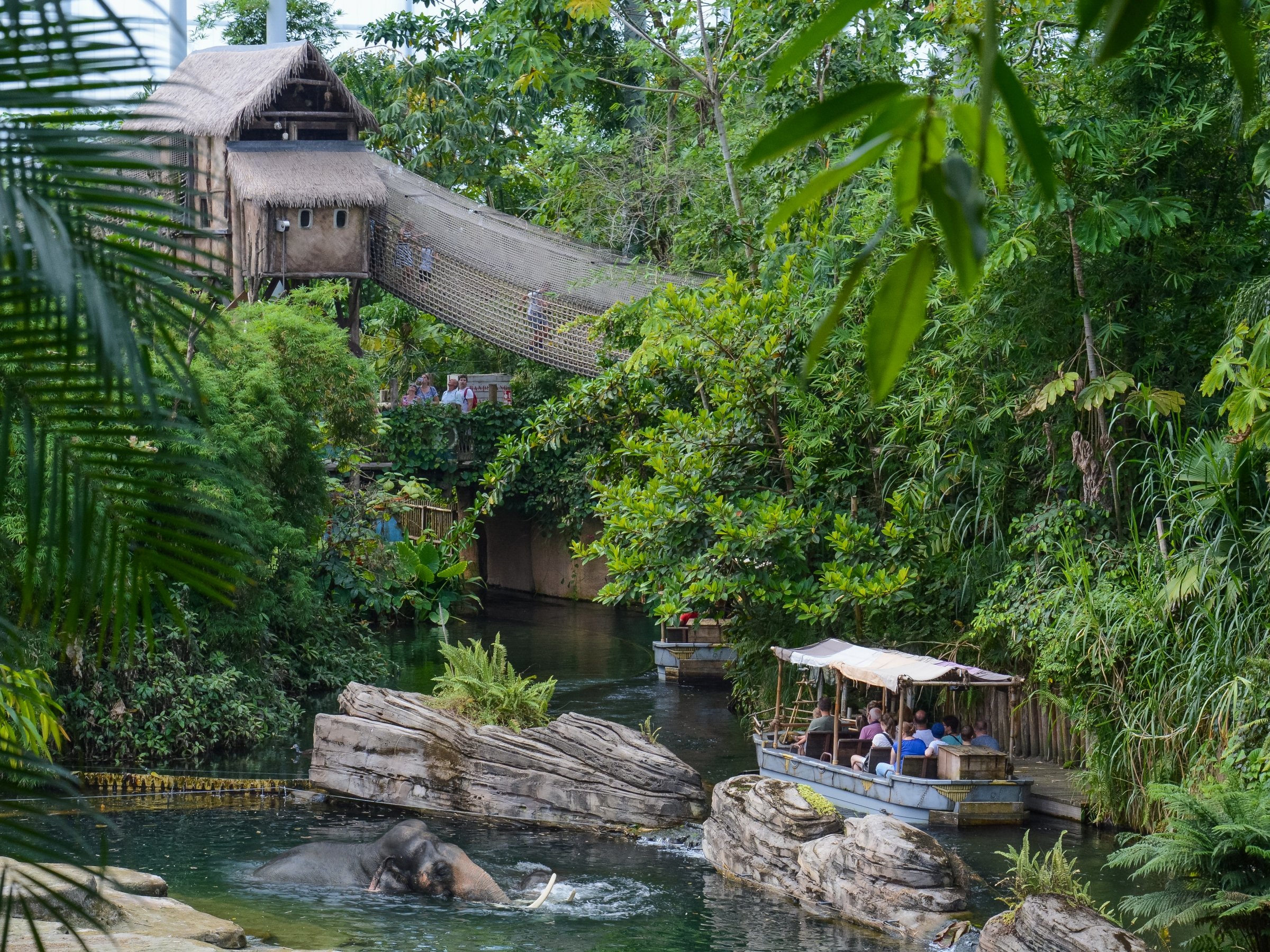 Das Bild zeigt die Attraktion Wildlands Rimbula River in der ZOOM Erlebniswelt