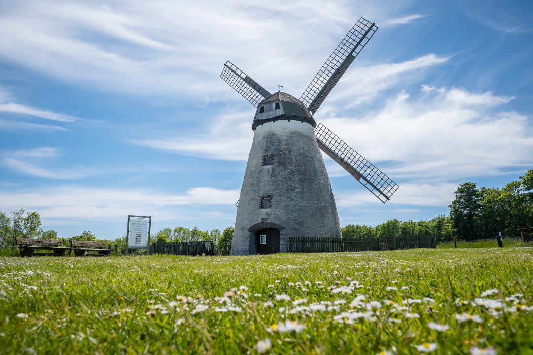 Das Foto zeigt eine Windmühle am Höxberg