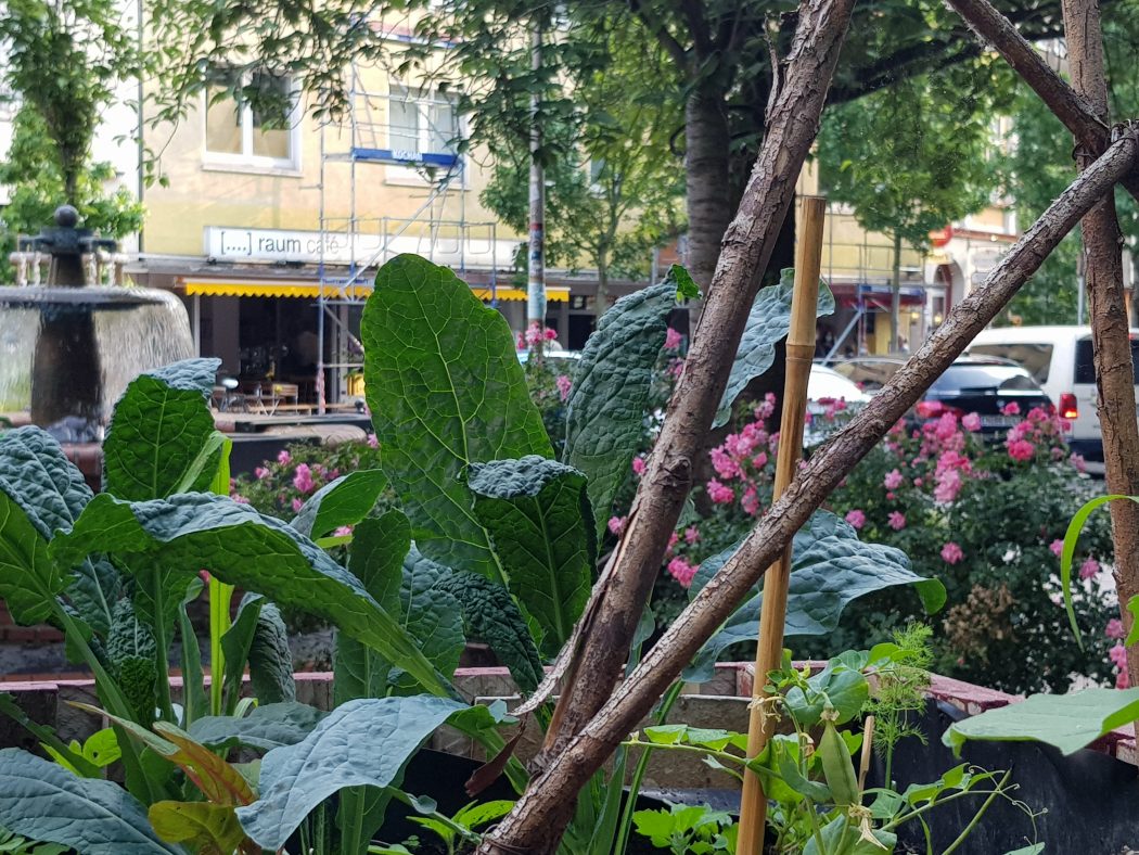 Das Foto zeigt ein Gemüsebeet im Wiesenviertel in Witten