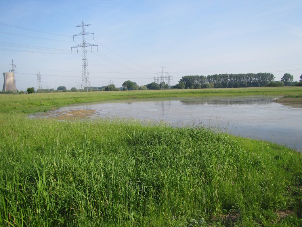 Das Foto zeigt den östlichsten Punkt des Ruhrgebiets an den Lippe-Auen